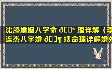 沈腾婚姻八字命 💮 理详解（李连杰八字婚 🐶 姻命理详解婚外情）